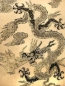 Preview: Drachen Bilder, chinesische Drachen, Poster, Drachen Spiele, Drachennamen, Tattoos, Drachen Bilder zum ausmalen