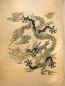 Preview: Drachen Poster, Loktas, Bilder Drucke Preview: Drachen Poster, Loktas, Bilder Drucke