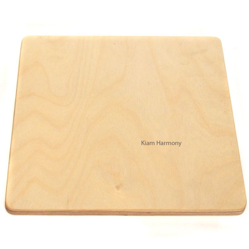 Flat Shaker Pad Shaker, Ocean Drum, Floßrassel und Schlag-Pad in EINEM Flat Shaker Pad Shaker, Ocean Drum, Floßrassel und Schlag-Pad in EINEM