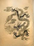 Lokta mit Drachen | Drachenbild